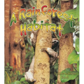 A Rainforest Habitat - Paperback
