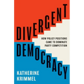 Divergent Democracy: How Policy Positions Came to Dominate Party Competition - Paperback