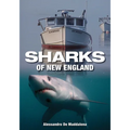 Sharks of New England - Paperback