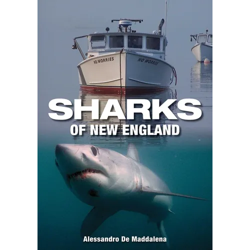 Sharks of New England - Paperback