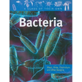 Bacteria: Staph, Strep, Clostridium, and Other Bacteria - Paperback