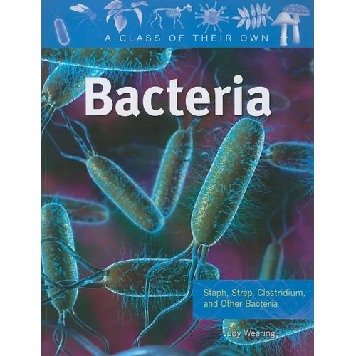 Bacteria: Staph, Strep, Clostridium, and Other Bacteria - Paperback