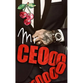 Mr. Ceoooooooo - Paperback