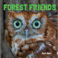 Forest Friends - Paperback