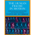 The Human Figure in Motion - Hardcover