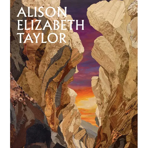 Alison Elizabeth Taylor: The Sum of It - Hardcover