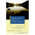 What You See in Clear Water: Indians, Whites, and a Battle Over Water in the American West - Paperback