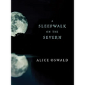 A Sleepwalk on the Severn - Paperback