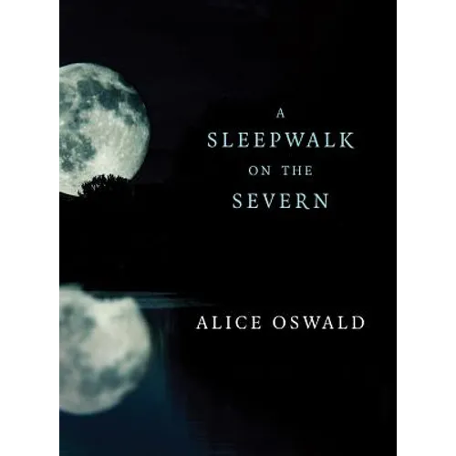 A Sleepwalk on the Severn - Paperback