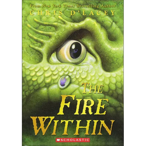 The Fire Within - Hardcover