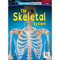 The Skeletal System - Paperback