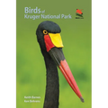 Birds of Kruger National Park - Paperback