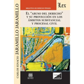 El Abuso del Derecho Y Su Proyección En Los Ámbitos Substancial Y Procesal Civil - Paperback