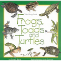 Frogs, Toads & Turtles - Paperback