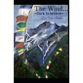 The Wind...: Dare to believe - Paperback