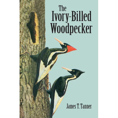 The Ivory-Billed Woodpecker - Paperback