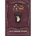 The History of the 101st Airborne Division in World War Two - Paperback