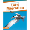 Bird Migration - Paperback