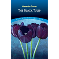 The Black Tulip - Paperback