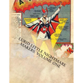 Lurid Little Nightmare Makers: Volume One: Comics from the Golden Age - Paperback