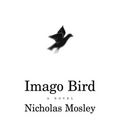 Imago Bird - Paperback