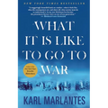 What It Is Like to Go to War - Paperback