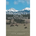 Moments From The Mountainside - Paperback