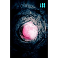 Pink Moon - Hardcover