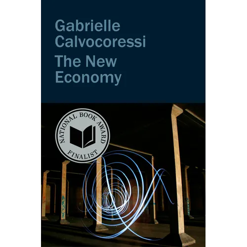 The New Economy - Hardcover