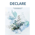 Declare: Daily Declarations of Hope For The Modern Soul - Paperback