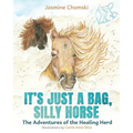 It's Just a Bag, Silly Horse: The Adventures of the Healing Herd - Paperback