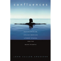 Confluences: Postcolonialism, African American Literary Studies, and the Black Atlantic - Paperback