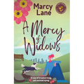 A Mercy of Widows - Paperback
