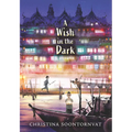 A Wish in the Dark - Library Binding