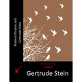 Matisse Picasso and Gertrude Stein - Paperback