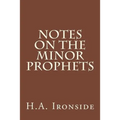 Notes On The Minor Prophets - Paperback
