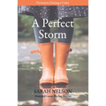 A Perfect Storm: Devotions During a Crisis - Paperback