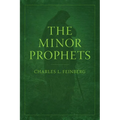 The Minor Prophets - Paperback