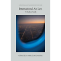 Introduction to International Air Law: Student's Guide - Paperback