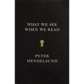 What We See When We Read - Paperback