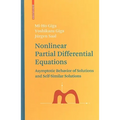 Nonlinear Partial Differential Equations: Asymptotic Behavior of Solutions and Self-Similar Solutions - Hardcover