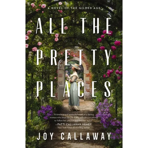 The All the Pretty Places: A Novel of the Gilded Age - Paperback