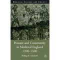 Peasant and Community in Medieval England, 1200-1500 - Paperback