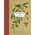 Vintage Botany Prints: Vol. 2 - Paperback